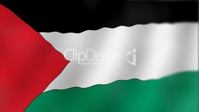 Palestine - waving flag detail