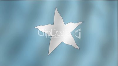 Somalia - waving flag detail