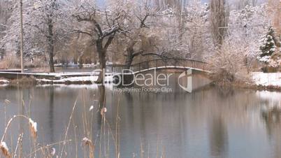 HD Desolate winter scene in Park