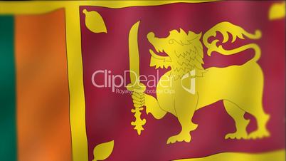 Sri Lanka - waving flag detail