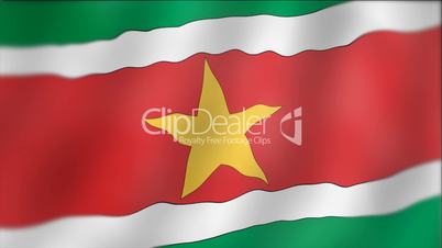 Suriname - waving flag detail