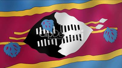 Swaziland - waving flag detail