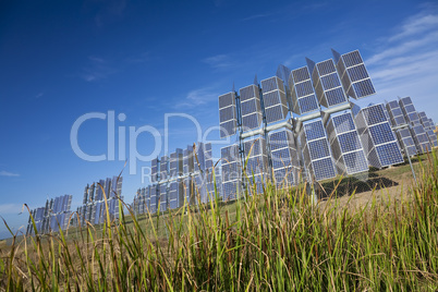 Field of Renewable Green Energy Photovoltaic Solar Panels