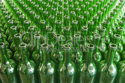 Green glass wine bottles