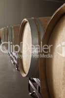 Oak barrels in a winery