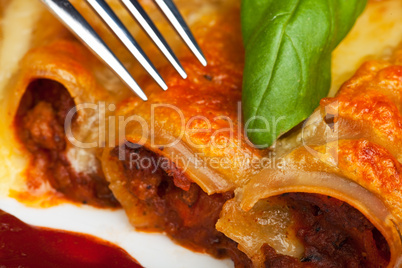 Cannelloni, traditionelle Pasta mit Tomatensauce