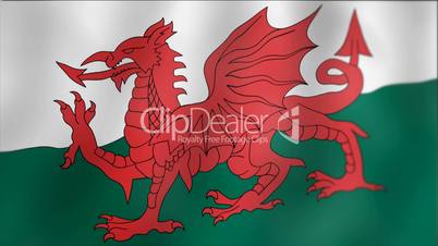 Wales - waving flag detail