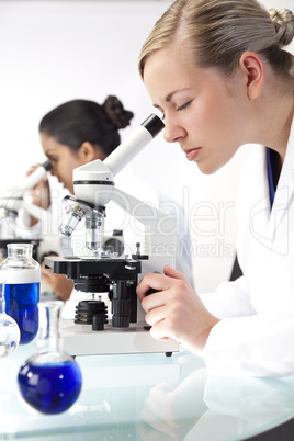 Female Scientific Research Team Using Microscopes in a Laborator