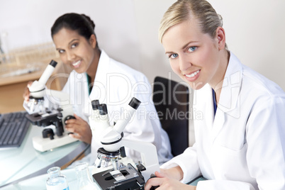 Female Scientific Research Team Using Microscopes in a Laborator