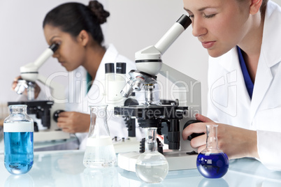 Female Scientific Research Team Using Microscopes in Laboratory