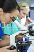 Female Scientific Research Team Using Microscopes in a Laborator