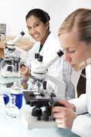 Female Scientific Research Team Using Microscopes in a Laborator