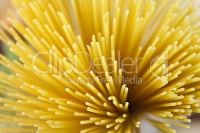 Abstract Shot of Dried Spaghetti Pasta