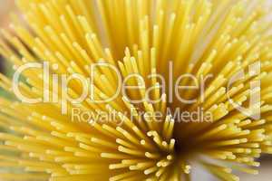 Abstract Shot of Dried Spaghetti Pasta