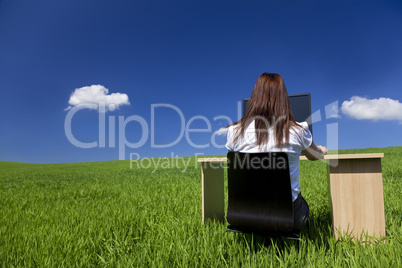 Business Woman Using Computer At A desk In A Green Field