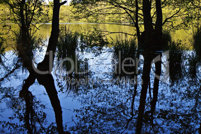 Im Nationalpark Jasmund