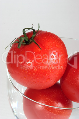 Tomaten 4