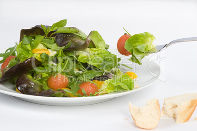 Salat mit Tomate