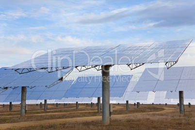 A Field of Renewable Green Energy Solar Mirror Panels