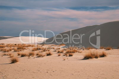 dunes 8073