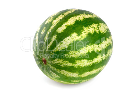 Makellose ganze Wassermelone auf Weiß