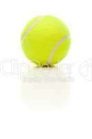 Single Tennis Ball on White with Slight Reflection