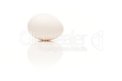 Single Egg on White Background