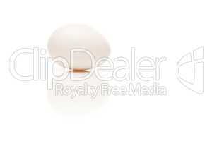 Single Egg on White Background