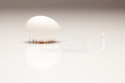 White Egg on Gradated Background