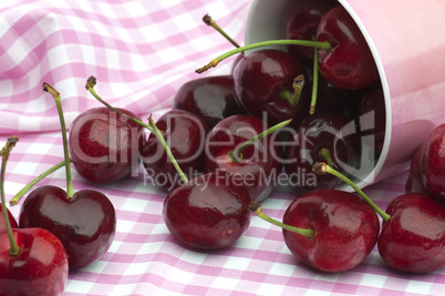 Cherries and Pink