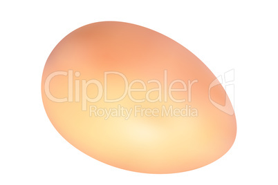 yellow vector hen's egg