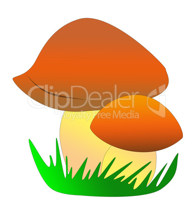 mushroom