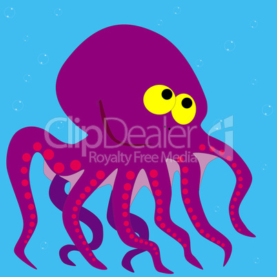 octopus