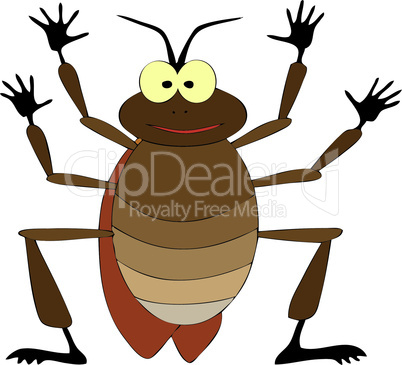 cockroach