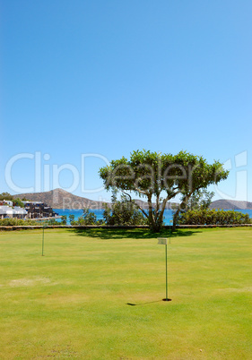 Golf field and tree at luxury hotel, Crete, Greece