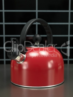 Stove Top Kettle