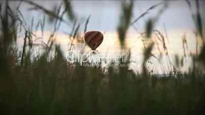 (1196) Hot Air Balloon Over Grassy Field Pasture Sunrise