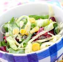 frischer salat (A.Bogdanski)