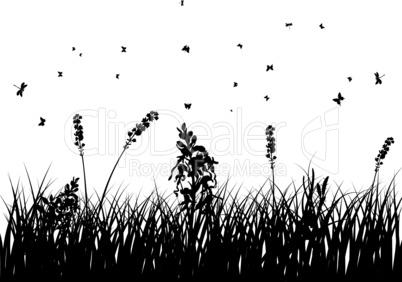 meadow silhouettes