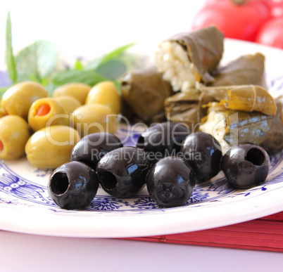 oliven und weinblätter (Y. Bogdanski)