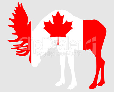 Elch in Kanadaflagge