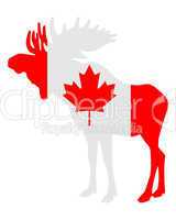 Elch in Kanadaflagge