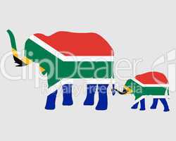 Elefant und Junges mit Südafrikaflagge
