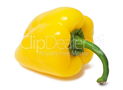 Bell pepper