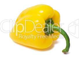 Bell pepper