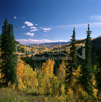 Mountain Vista In Fall Colors