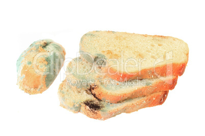 moldy bread