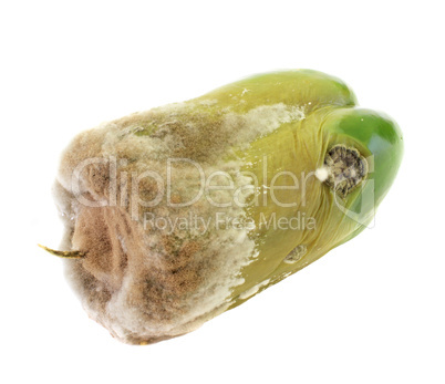 mould on pepper
