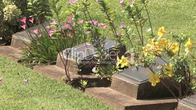 World War II Graves Prisoners, Kanchanaburi War Cemetery