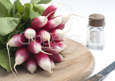 Radish